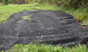 &Scaron;okių aik&scaron;telė briedžiams?