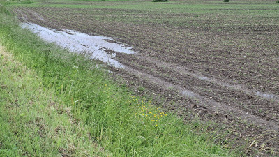 Pavasaris ūkininkų nedžiugino – nepadės nei kompensacijos