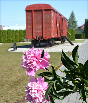Stiprybė gyventi