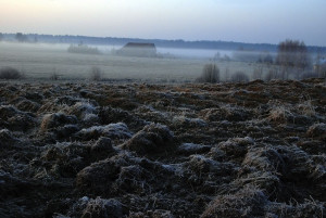 Remtinose vietovėse deklaruojančiųjų pasėlius laukia permainos