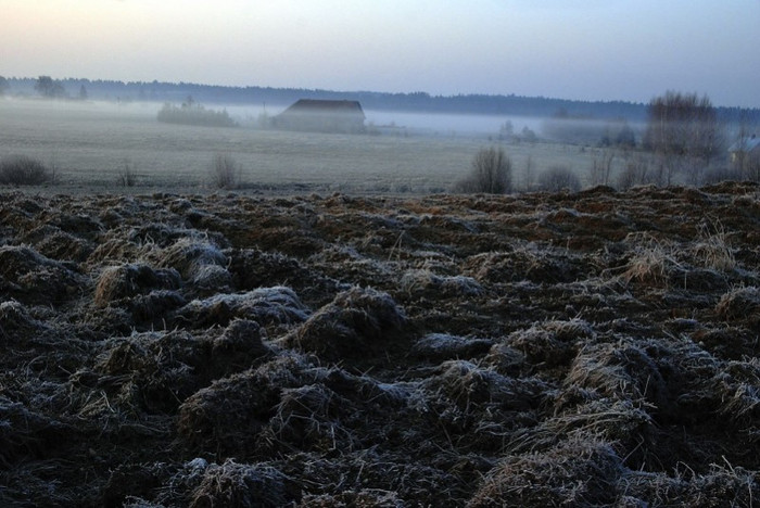 Remtinose vietovėse deklaruojančiųjų pasėlius laukia permainos