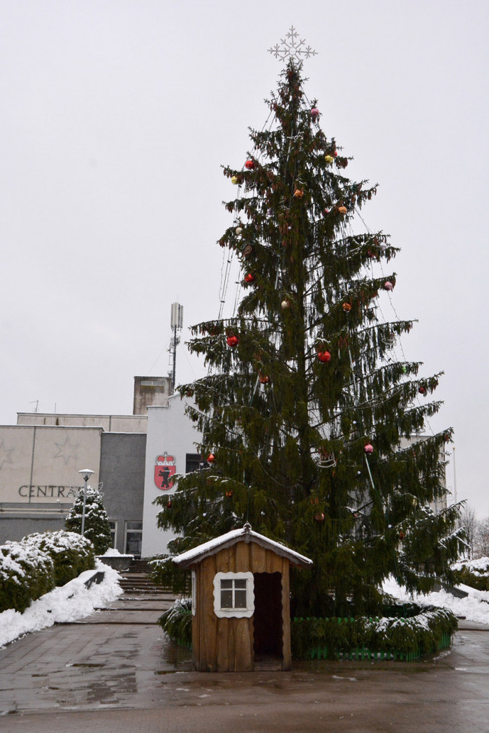 Miesto eglei &ndash; kritikos strėlės