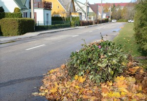 Laukia, kol viską paslėps sniegas?
