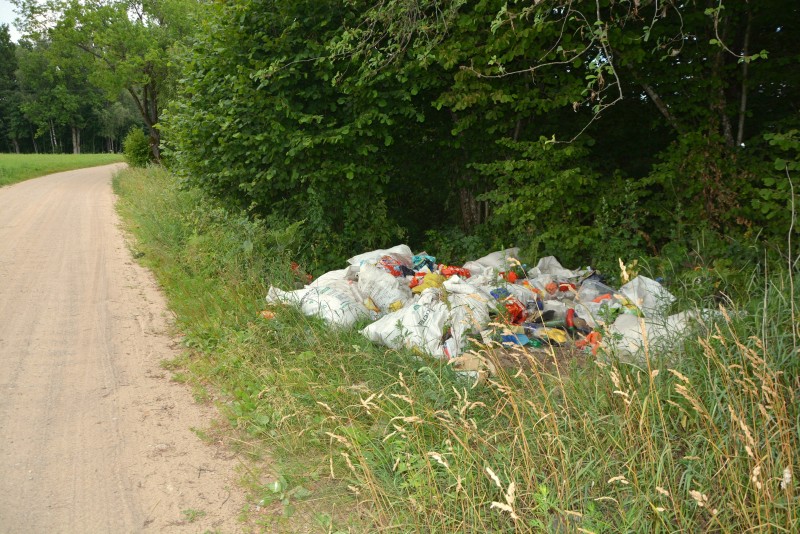 Šarkų gyventojai kaip bendravardžiai paukščiai – labai mėgsta šiukšles