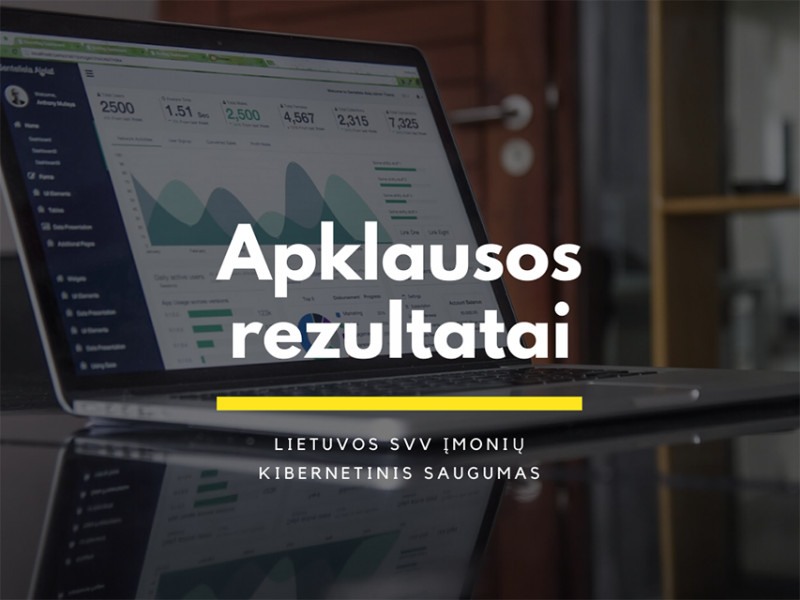 Lietuvos smulkiajam ir vidutiniam verslui trūksta kibernetinio saugumo žinių