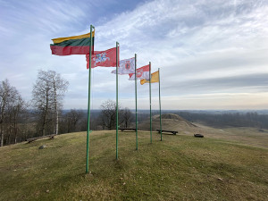 Didinga Lietuva