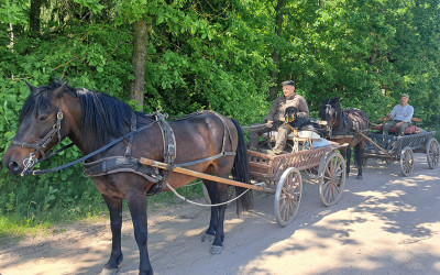 Per Lietuvą mediniais tekiniais – dešimtą kartą