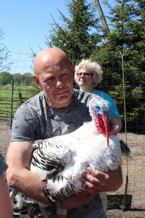 &bdquo;Kukarskės&ldquo; &scaron;eimininką budina gaidžių choras