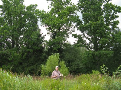 Knygos autorius prie tėvi&scaron;kės ąžuolų, menančių protėvius