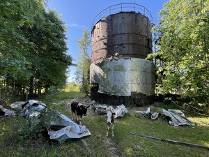 Laukuvos „paveldas“ – objektas kone miestelio centre... A. AMBROZOS nuotr.