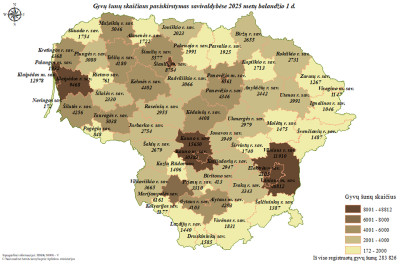 Keturkojis – ne užgaida, o šeimos narys