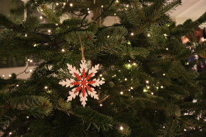 Mi&scaron;kininkai primena,&nbsp;kaip po &scaron;venčių elgtis su kalėdiniais medeliais