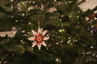 Mi&scaron;kininkai primena,&nbsp;kaip po &scaron;venčių elgtis su kalėdiniais medeliais