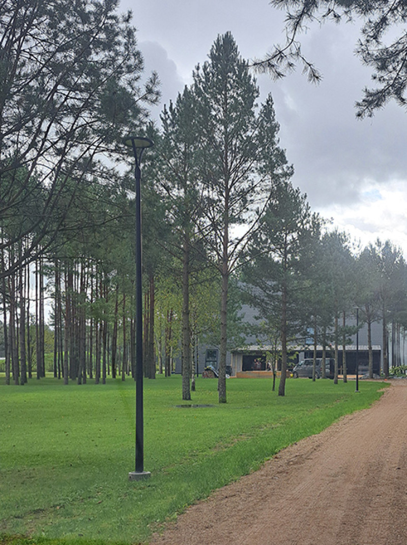 Popieriuose &ndash; tvirtas kelias, i&scaron; tiesų &ndash; pieva ir pu&scaron;ynas: gyventojai įtaria ker&scaron;tą garsiam verslininkui