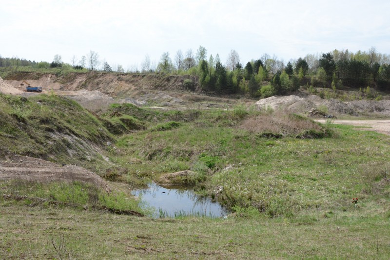 Nužudęs moterį ir į karjerą įmetęs jos kūną, šilališkis sės į teisiamųjų suolą