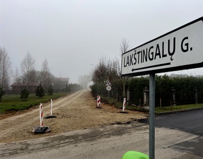 Kieno interesų ausys kyšo Lakštingalų gatvėje?
