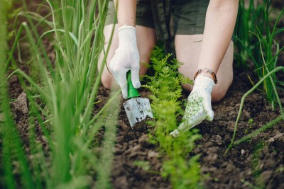 Įdarbinant žmogų, kuris teiktų žemės ūkio ar miškininkystės paslaugas, nebūtina sudaryti darbo sutarties – tokias paslaugas galima įforminti paslaugų kvitu. Prostooleha nuotr. iš Freepik.com