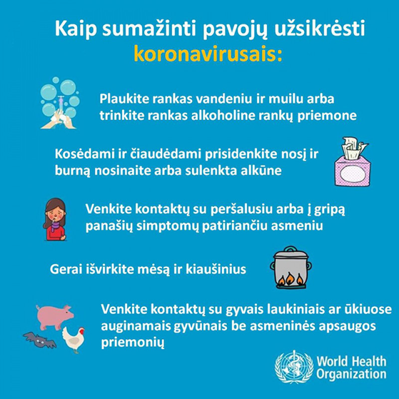 Iš kur atsiranda koronavirusai? Rekomendacijos gyventojams