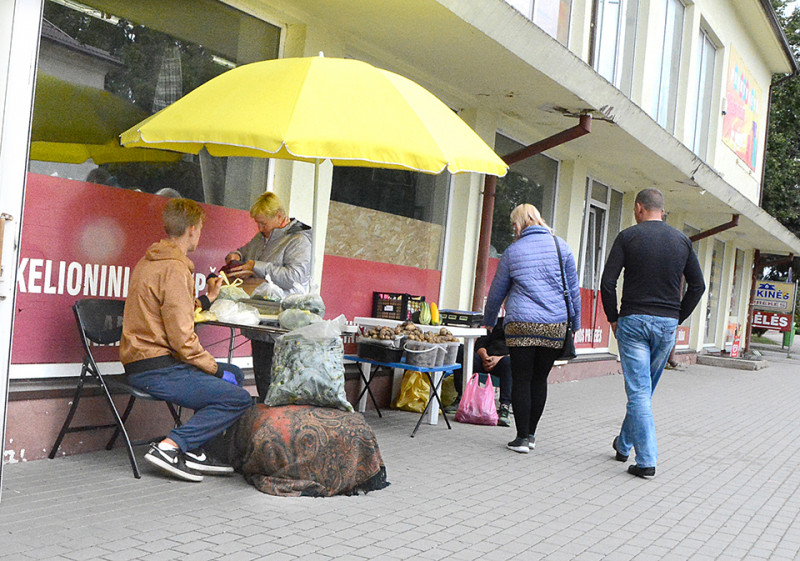 Parduodantieji savo išaugintas daržoves tapo pasipelnymo šaltiniu verslininkams