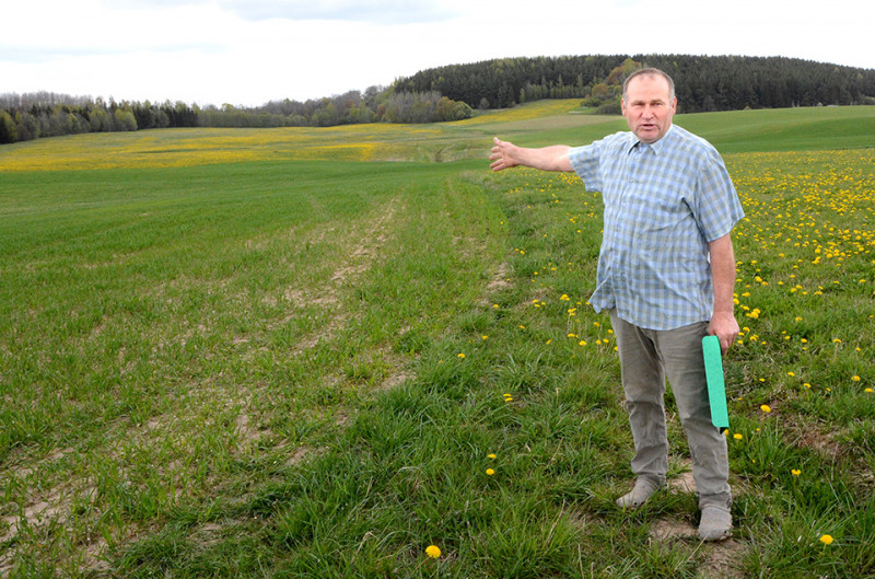 S. Tamašauskui priskirtą lauko kelią kaimynas aparė ir apsėjo