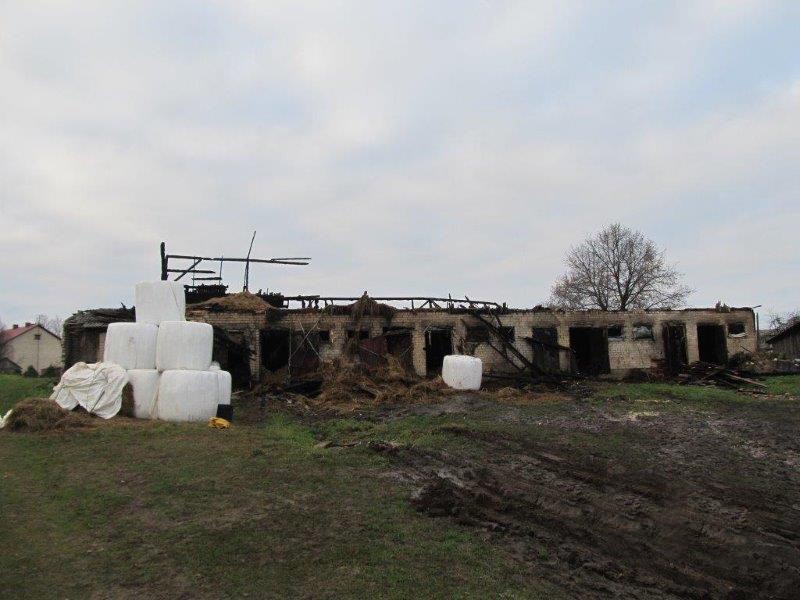 Ugnis pasiglemžė aštuonių gyventojų turtą
