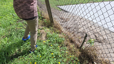 Kai kaimynystė tampa i&scaron;bandymu: nesutarimai tęsiasi de&scaron;imtmetį