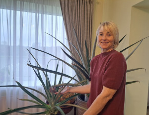 Atlyginimas už kantrybę &ndash; saldžiausias ananaso vaisius