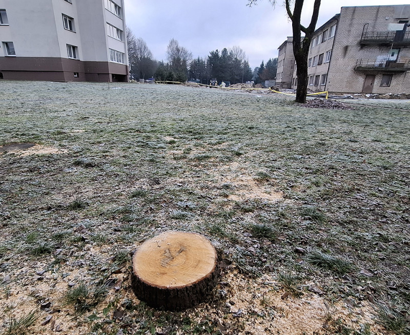 Miestiečiai pasigenda žalumos ir tvarkos gatvėse