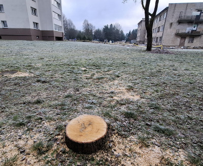 Miestiečiai pasigenda žalumos ir tvarkos gatvėse