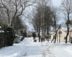 Gyventojams atsibodo laukti nuotekų tinklų
