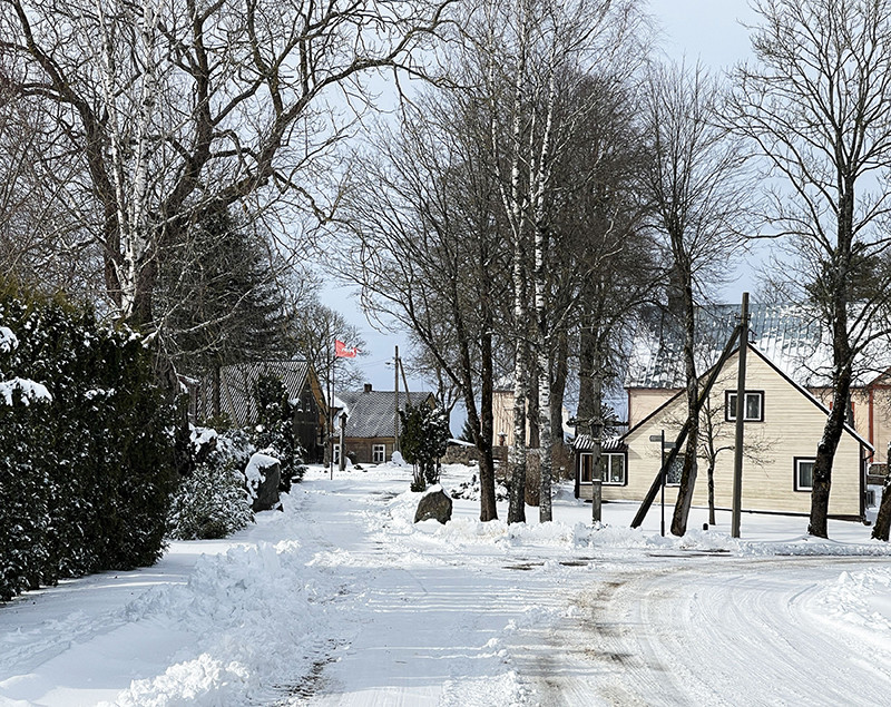 Gyventojams atsibodo laukti nuotekų tinklų