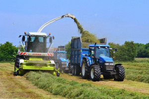 Bus skiriama parama žemės ūkio valdoms&nbsp;modernizuoti