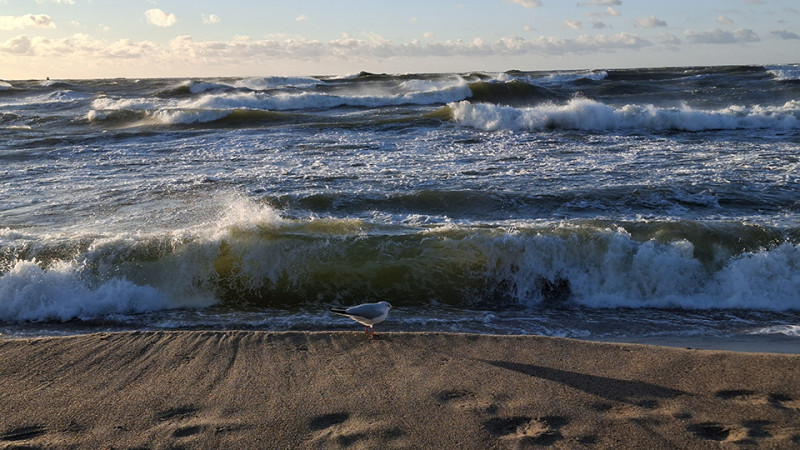 Tragedija gali būti &scaron;alia: ko dažnai nei&scaron;drįstame pamatyti