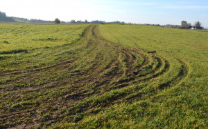 Kanalus tvarkančios įmonės technika i&scaron;važinėjo ūkininkų pievas