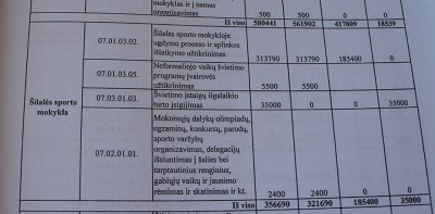 Papiktino valdžios noras išlaidauti