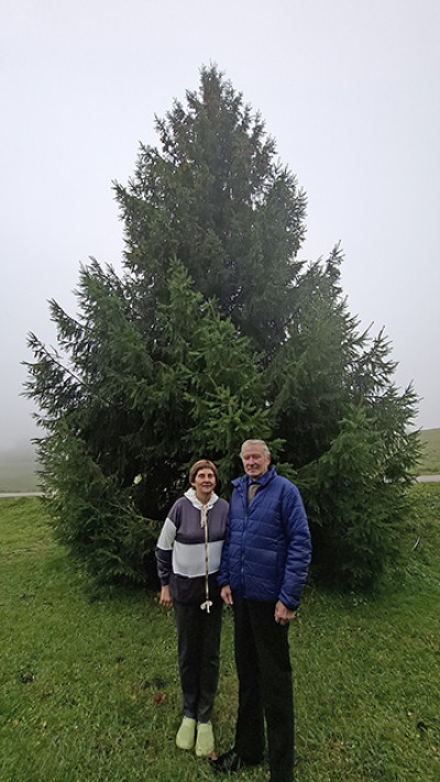 &Scaron;iemet kalėdinę eglę miestui dovanoja bilioni&scaron;kiai