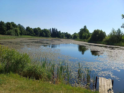 Investicinių projektų lenktynėse pirmauja Kvėdarna