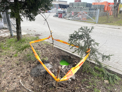 &Scaron;ilumos tiekėjai pasirūpino velykaičių dažykla?