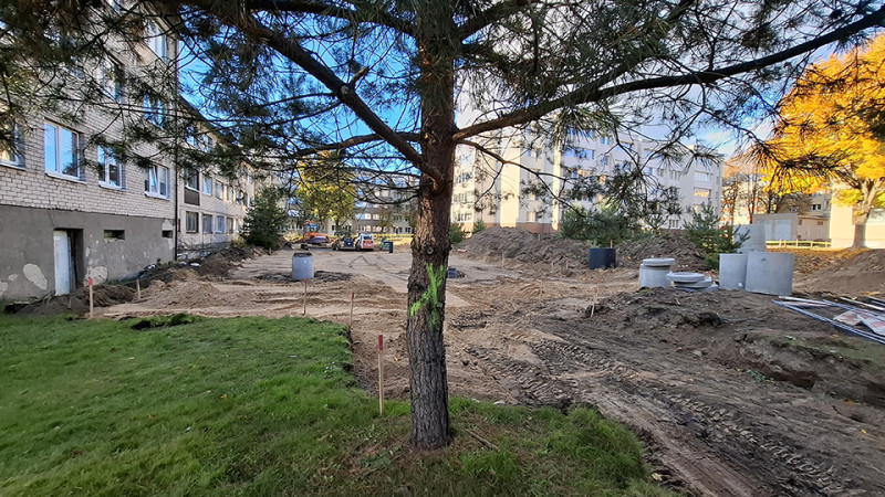 Politikai nekalbūs: &Scaron;ilalėje vėl pjaunami medžiai