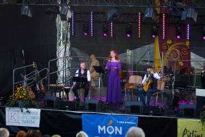 Fotoobjektyve – „Medvėgalio menų festivalis“