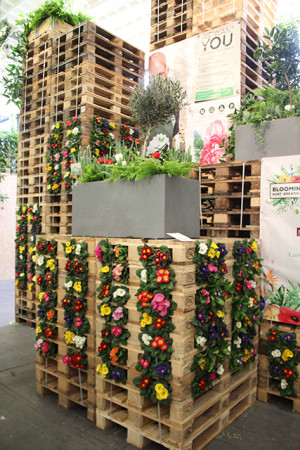 Gyvenimas ant grindinio tampa nemadingas