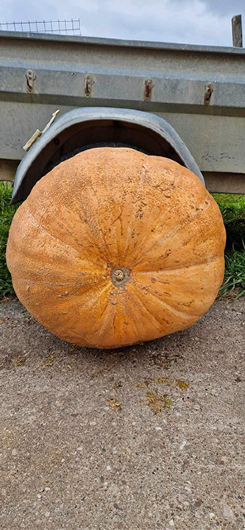 Kai neina panešti, tenka ridenti