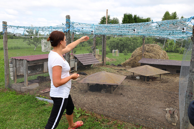 Po nakties – dešimtys išpjautų ilgaausių