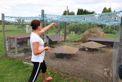 Po nakties – dešimtys išpjautų ilgaausių