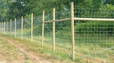 Didesnė parama nuo vilkų