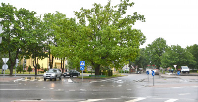 Tarp lankytinų objektų - ir judrioje Šilalės sankryžoje esantis Nepriklausomybės ąžuolas