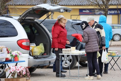 Vėluojanti šiluma į daržus neskubina