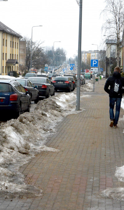 Pinigų viešiesiems darbams užteks neilgam