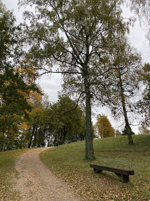 Naktis – išėjusiems sugrįžti
