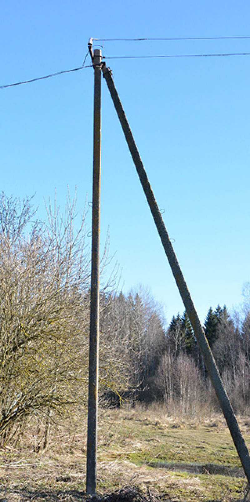 Pakoreguota kompensacijų už elektros stulpus tvarka
